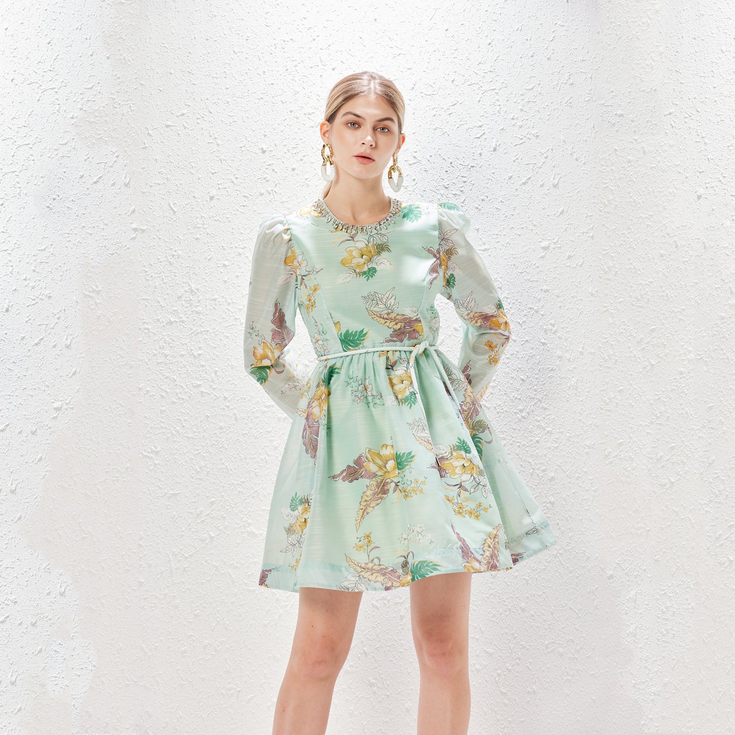 Elegant Light Green Long Sleeve Floral Mini Dress